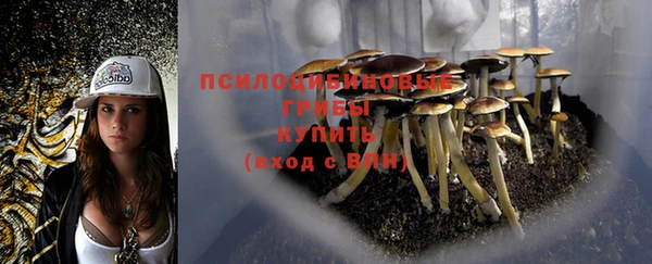 первитин Абаза