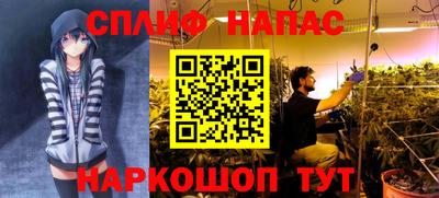 прущие крисы Сланцы