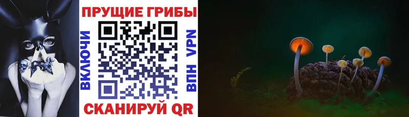 Псилоцибиновые грибы Psilocybine cubensis  Уварово 
