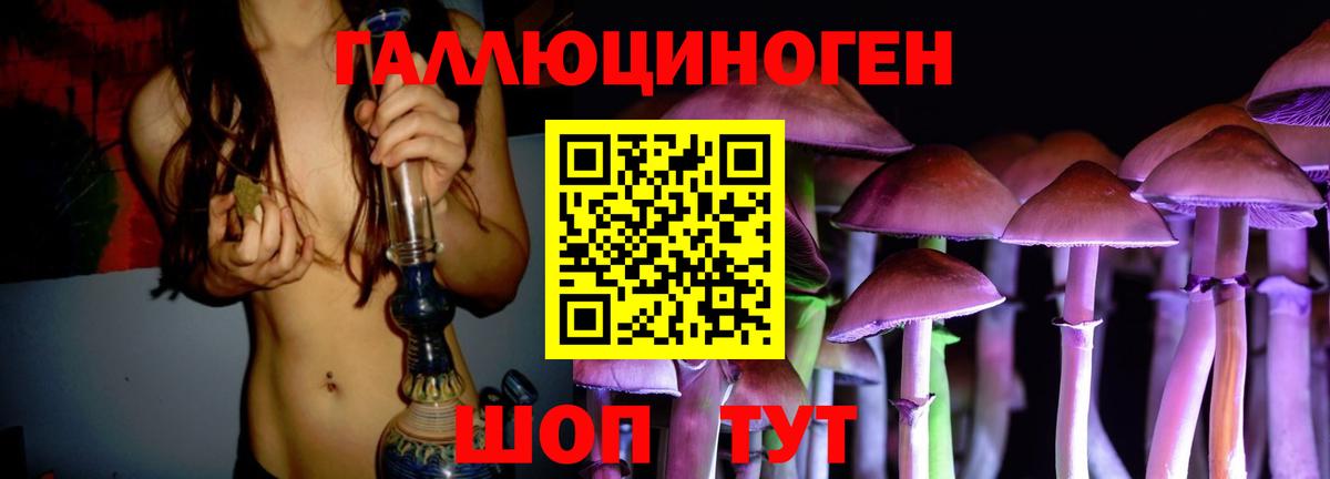 Галлюциногенные грибы Psilocybe Уварово